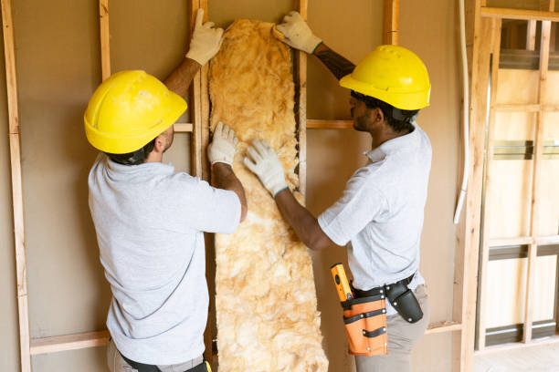 Best Attic Insulation Installation  in Newark, IL